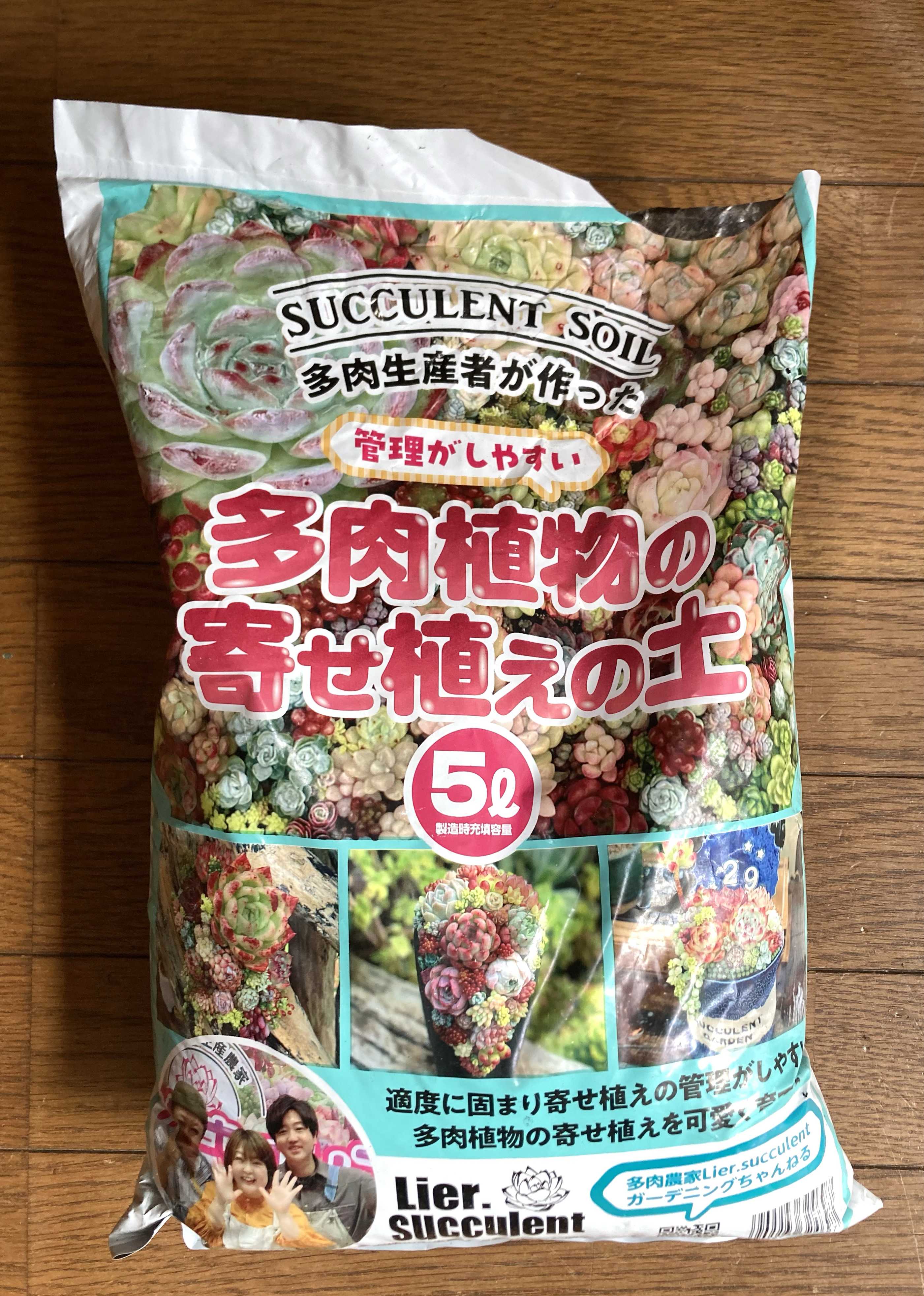 多肉植物寄せ植えの投稿画像 by はなずきんさん｜多肉寄せ植えと固まる