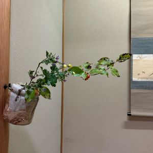 サンシュユ,ノコンギク,生け花,季節の花,花のある暮らしの画像