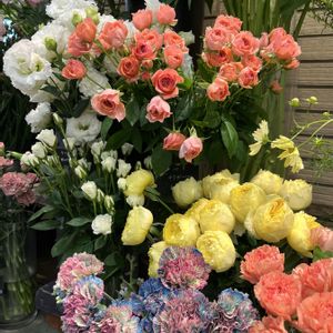 カーネーション,薔薇,色とりどりの画像