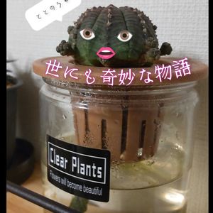 仔吹きシンメトリカ,多肉植物,多肉男子,階段/廊下の画像