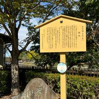 クズ,センダン,ノイバラ,源氏物語,宇治の画像