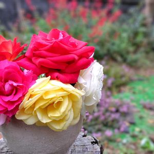 薔薇,薔薇,ナチュラルガーデン,グリーンのある暮らし,バラのある暮らしの画像