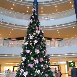 イルミネーション,クリスマスツリー,ショッピングセンター,カナリア少年少女合唱団,お出かけ先の画像