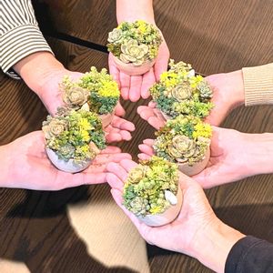 多肉植物,多肉の寄せ植え,タニラーの画像