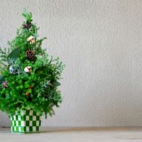 薩摩杉,今日の一枚,花のある暮らし,緑のある暮らし,クリスマスツリーの画像