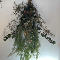 スワッグ,庭の花,花のある暮らし,ナチュラルスタイル,自然農法の画像