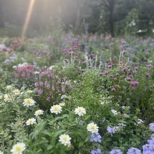 Garden,お出かけ先の画像