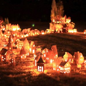 ヤブラン,芝生,公園,ピンぼけ,埼玉県の画像