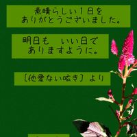 ケイトウ,今日も笑顔で♡,いつもありがとう❤️,優しい心,小さい幸せの画像