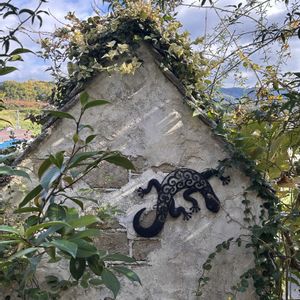 寄せ植え,モルタル造形,花工房花夢花夢,花の谷ヴィレッジ,お出かけ先の画像