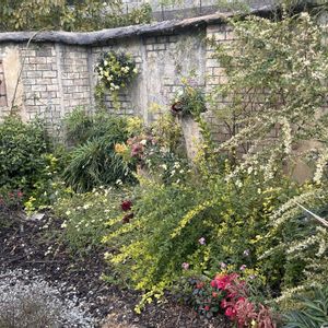 寄せ植え,モルタル造形,花工房花夢花夢,花の谷ヴィレッジ,お出かけ先の画像