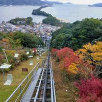 紅葉,ガーデニング,観光地,お出かけ先にて,天橋立の画像