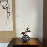 木立ベゴニア,ウンリュウヤナギ,花のある暮らし,緑のある暮らし,IKEBANAの画像