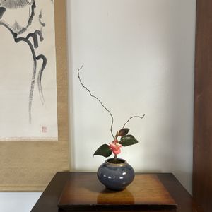 木立ベゴニア,ウンリュウヤナギ,花のある暮らし,緑のある暮らし,IKEBANAの画像