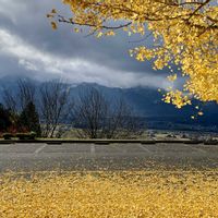 花のある暮らし,安曇野スタイル,魔女の生活,安曇野の秋,信州の秋の画像