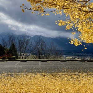 花のある暮らし,安曇野スタイル,魔女の生活,安曇野の秋,信州の秋の画像