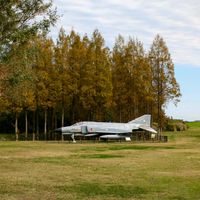 メタセコイア,ラクウショウ,福岡,癒し…♡,NO GREEN  NO LIFEの画像