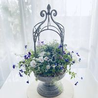 ビオラ,パンジー シエルブリエ,花日和 アイクルール,花越ビオラ 平塚弘子集,寄せ植えの画像