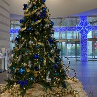 ネコ仙人,クリスマス,クリスマスツリー,ニャンニャン祭り,にゃんにゃん祭りの画像