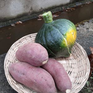 里山,雑木林で,里山暮らし,畑の画像