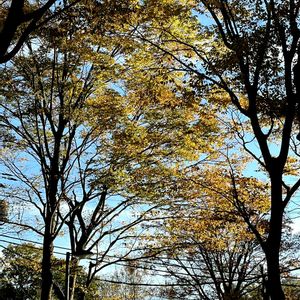 雲仲間,玄関アプローチの画像