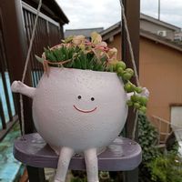 グリーンネックレス,蔓万年草,3時草,かわいい♡,いやし系の画像