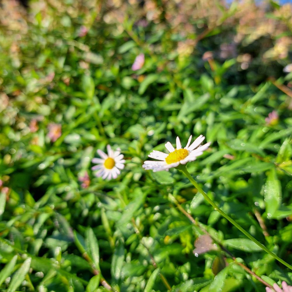 エリィさんの港の見える丘公園への投稿