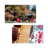 イチョウ,紅葉祭り,紅葉（こうよう）,法多山,和傘の画像