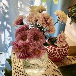 スプレー菊,スプレー菊,切り花,ガラスの花瓶,育てる楽しみの画像