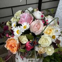 キク,レンゲローズ,レンゲローズ,インフィニティローズ,インフィニティローズの画像