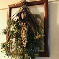 リューカデンドロン,バーゼリア,エリンジウム,ドライフラワー,階段/廊下の画像