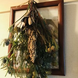 リューカデンドロン,バーゼリア,エリンジウム,ドライフラワー,階段/廊下の画像