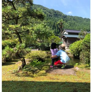 マツ,日本庭園,夏の思い出,千葉,田舎の風景の画像