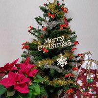 クリスマスツリー♡,ポインセチア　オーロラ,大好き,プレゼント,seriaの画像