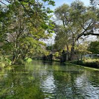 ワサビ,景色,長野県,安曇野わさび農園,お出かけ先の画像