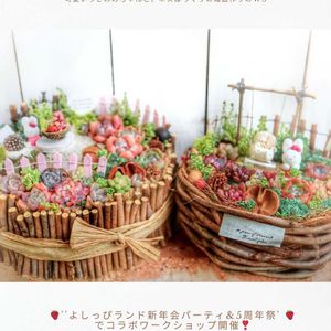 多肉箱庭,多肉植物のある暮らし,多肉ワークショップ,hanaレシピ,a_piece_of_dreamの画像