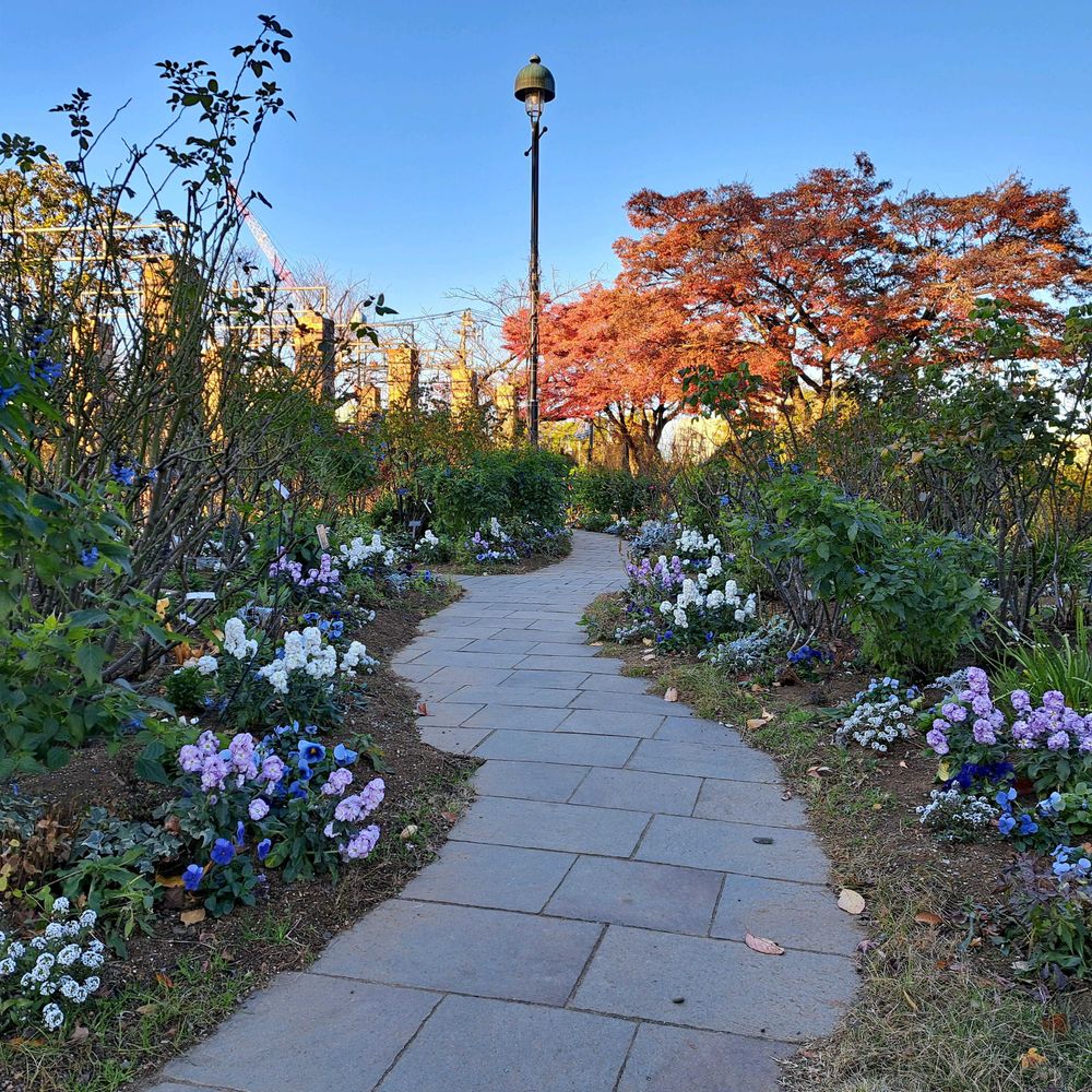 エリィさんの港の見える丘公園への投稿