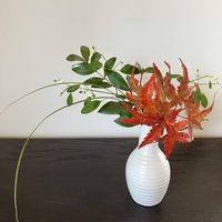 カレックス,ギンバイカ,紅葉,ユーフォルビア ダイアモンド・フロスト,花のある暮らしの画像