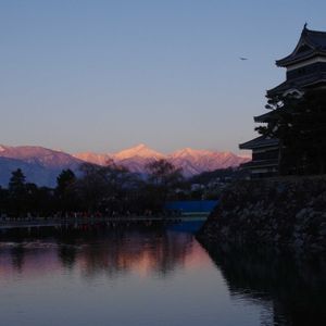 マツ,シダレヤナギ,松本城天守,散歩,日の出の画像