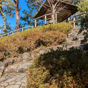 日本庭園,ノンビリ,何時もの公園,静かな庭園,吉城園✨の画像