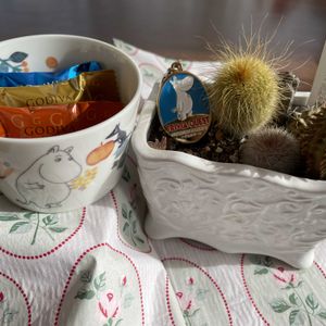 サボテン,金晃丸,スザンナエ,翠晃冠,ユーフォルビア スザンナエの画像