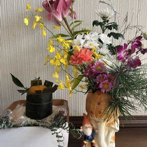 ブルーベリー,コルジリネ レッドスター,ハツユキカヅラ,花のある暮らし,植物のある暮らしの画像