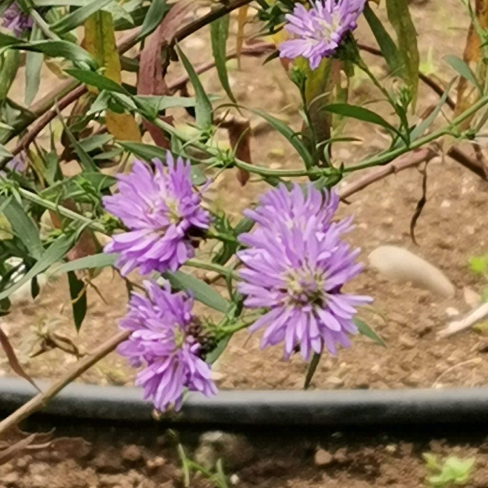 とりさんの港の見える丘公園への投稿