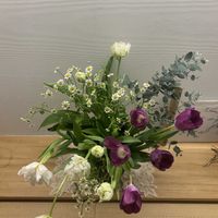 チューリップ,チューリップ,マトリカリア,チューリップの芽,お花屋さんの画像