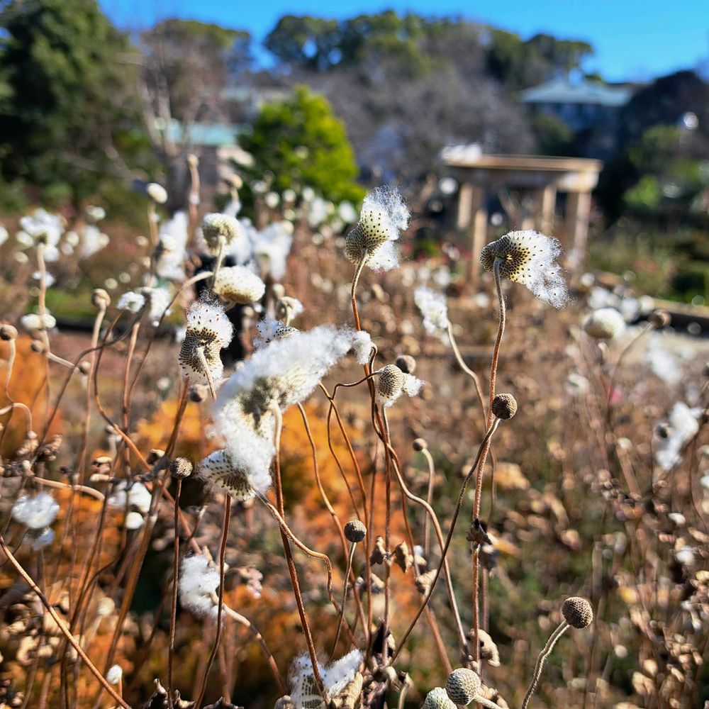 エリィさんの港の見える丘公園への投稿