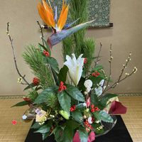 ストレリチア,極楽鳥花,正月アレンジ,今日の１枚,今日のお花の画像