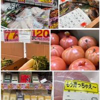 トマト,大根,兎耳,熊の手,シカの画像