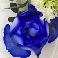 ブーケ,青の花の画像