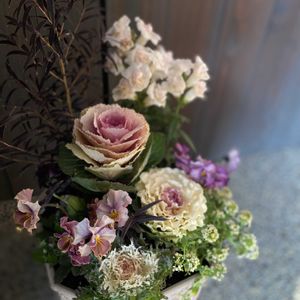 葉牡丹,花のある暮らし,植中毒,記録,今日のお花の画像