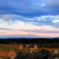 ススキ,夕焼け,癒しの場所,元気もらえる,夕刻の画像